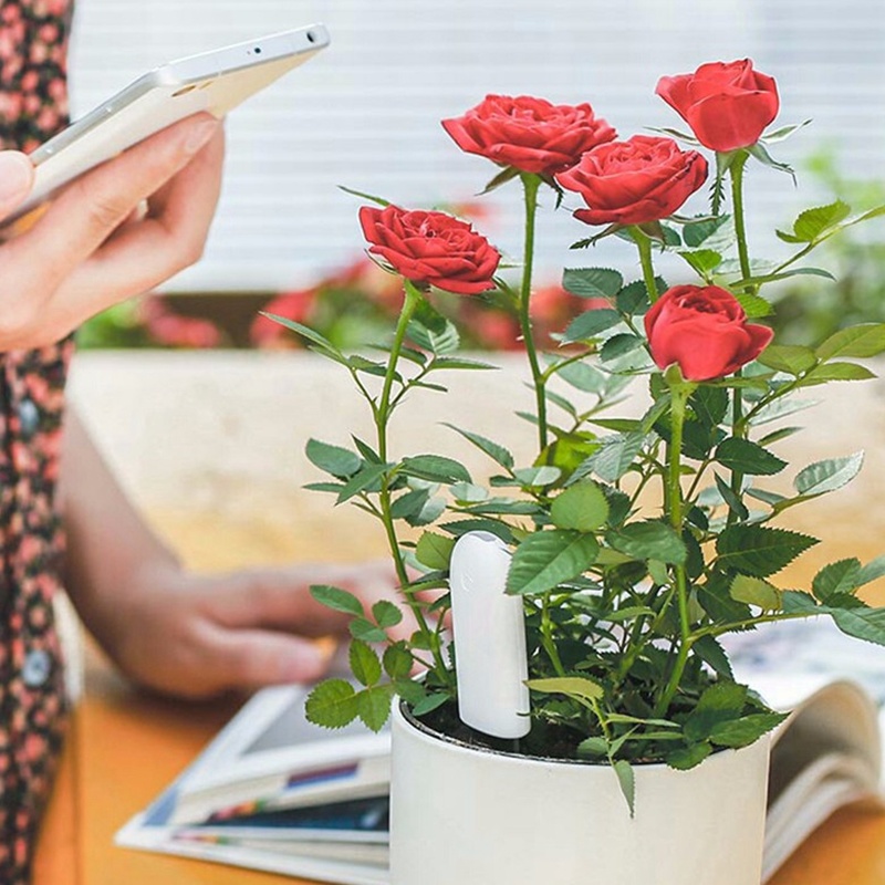 HHCC Flower Monitor Flora Gard - Smart Garden Water avis et prix