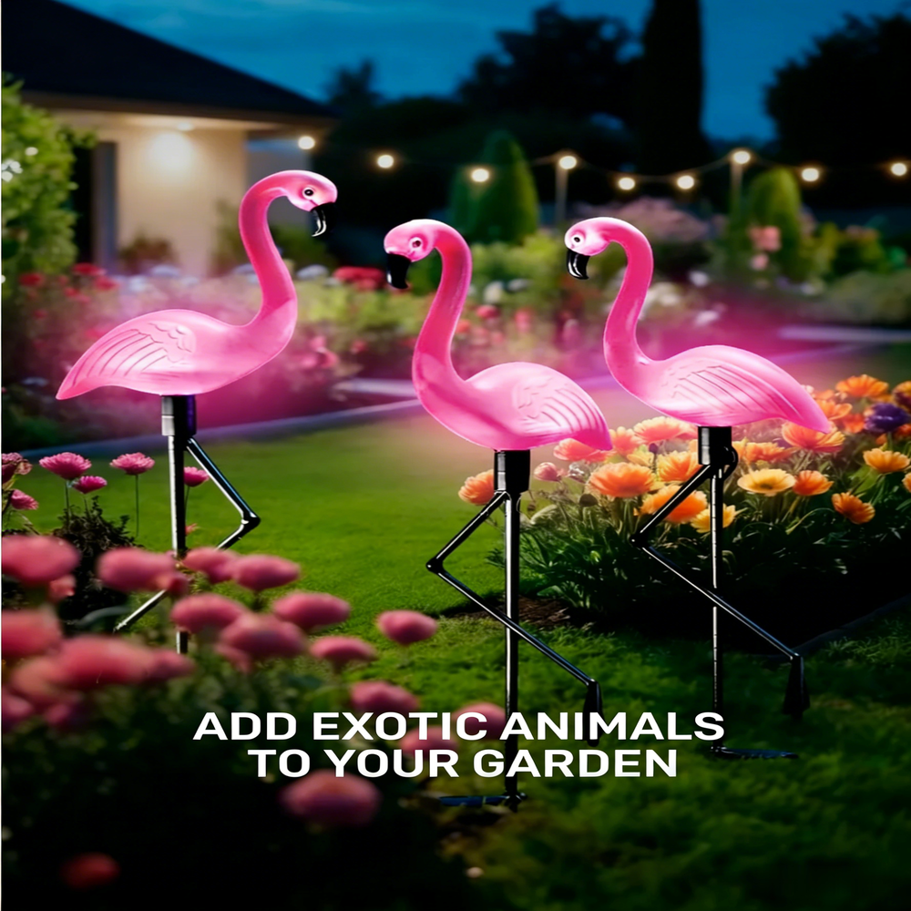 3Pcs Solar Powered Flamingo Gr - Smart Zen Garden avis et prix