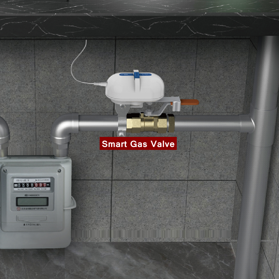Tuya Smart Home WiFi Zigbee Wa - Smart Garden Water avis et prix