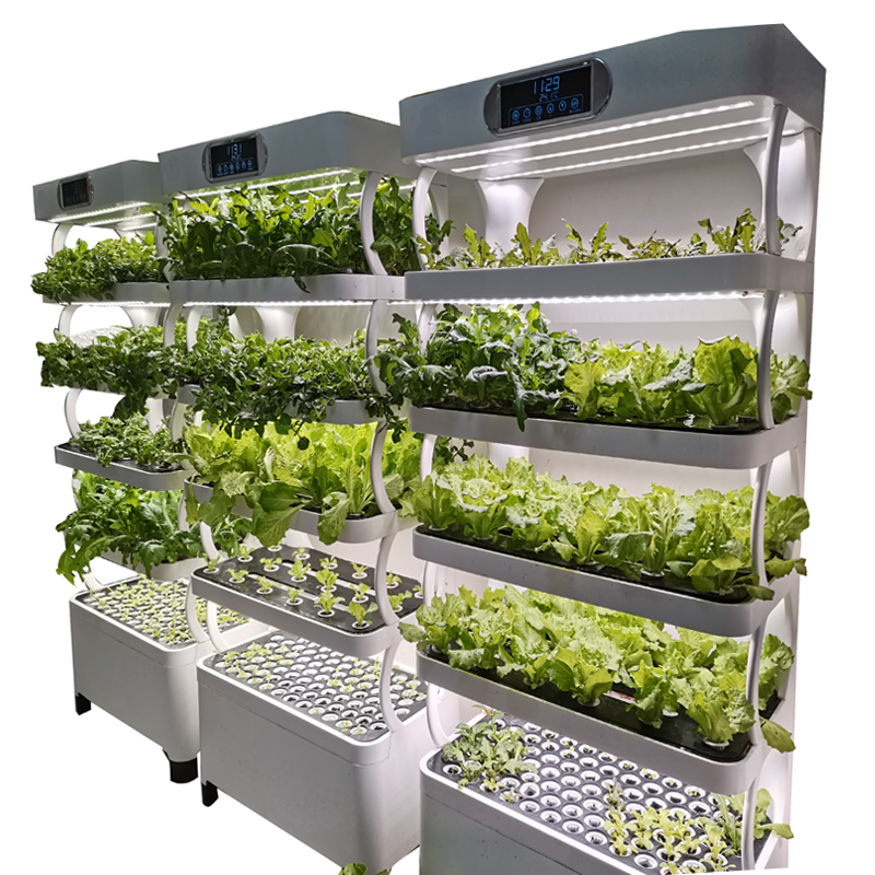 Indoor Smart Low Cost Hydropon - Smart Garden Indoor avis et prix