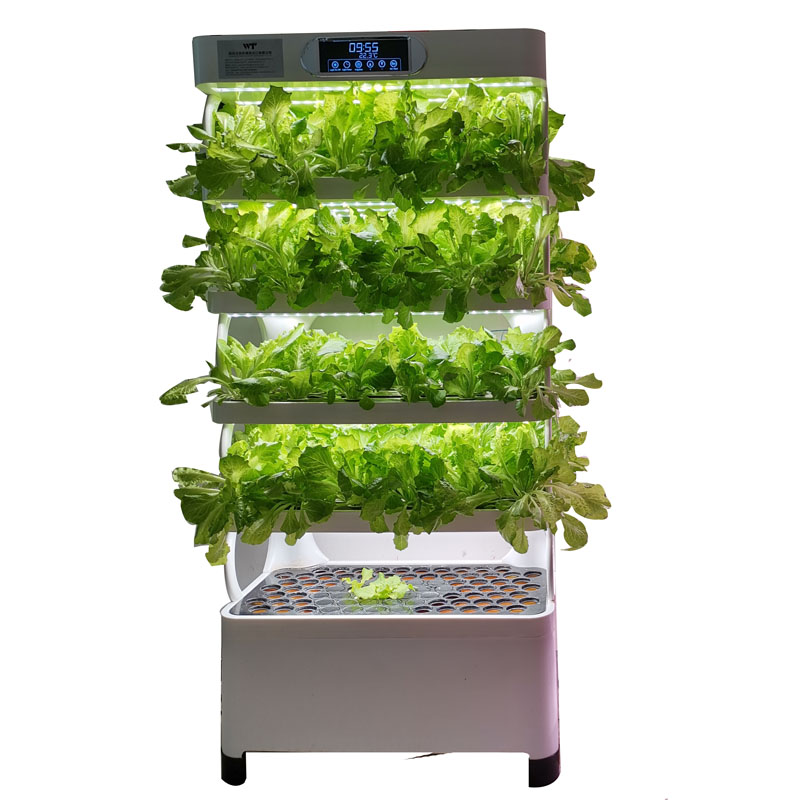 Indoor Smart Low Cost Hydropon - Smart Garden Indoor avis et prix