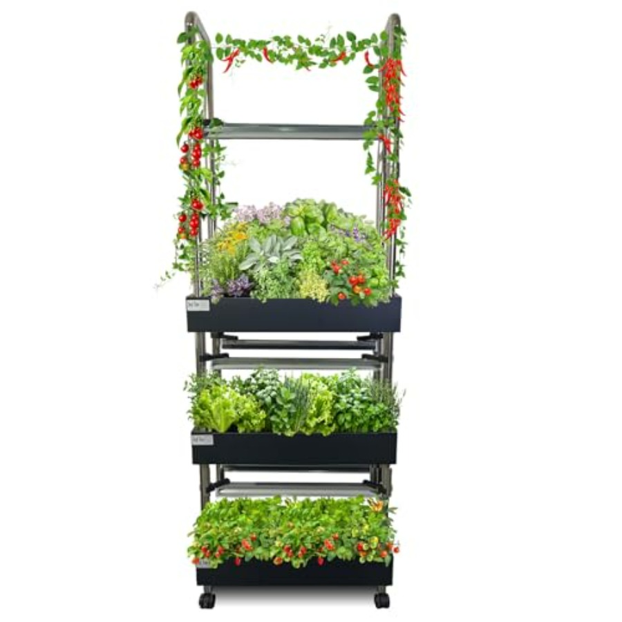 Indoor hydroponics growing sys - Smart Garden Indoor avis et prix