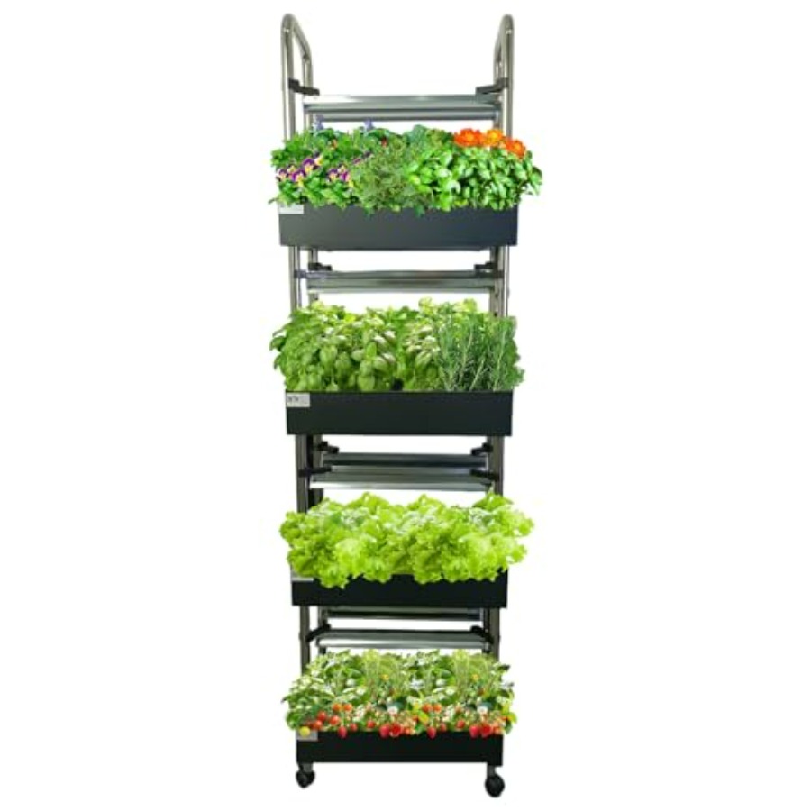 Indoor hydroponics growing sys - Smart Garden Indoor avis et prix