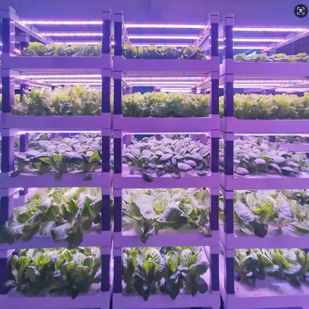 Hydroponic Grow System Greenho - Smart Garden Indoor avis et prix