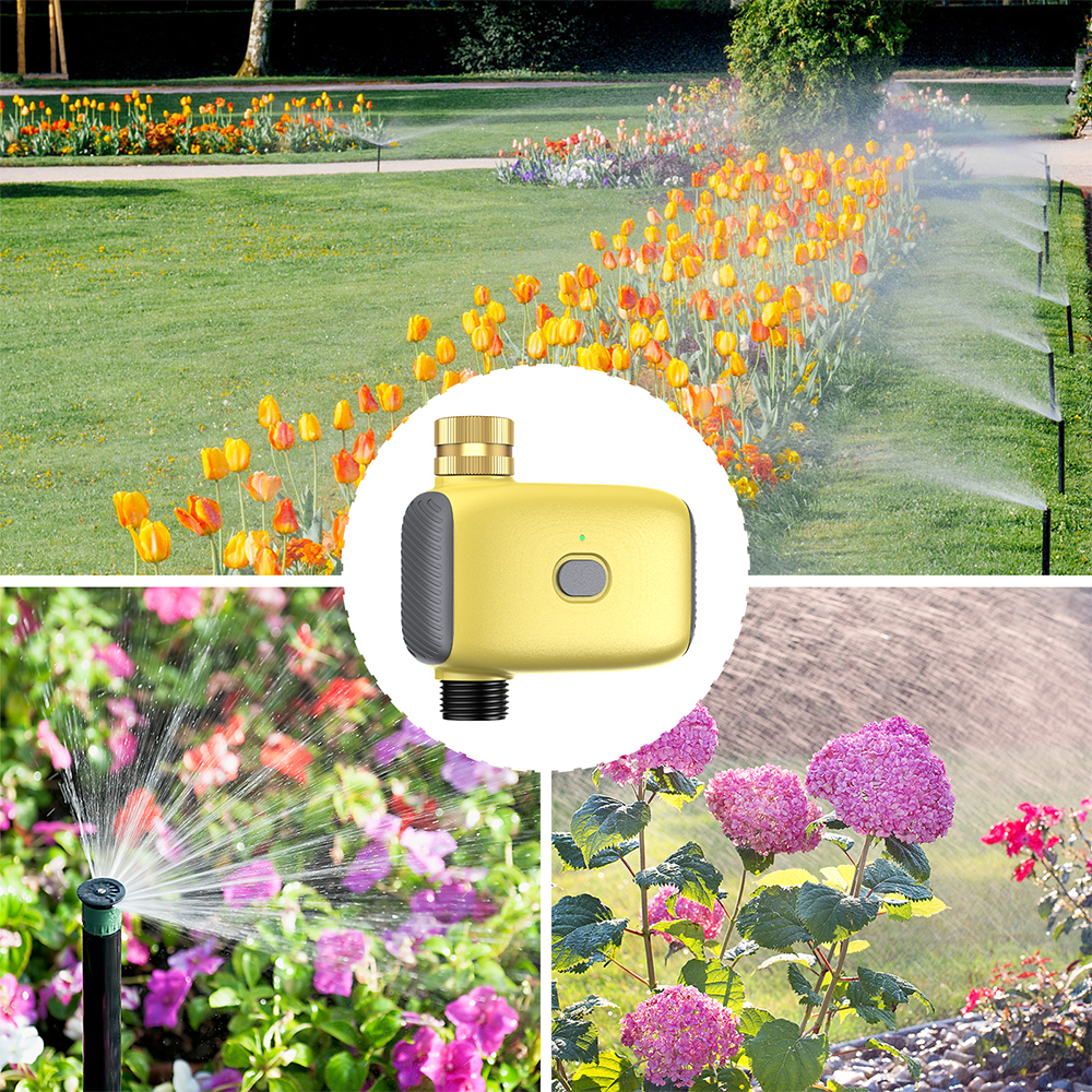 Wholesale Smart Digital  Water - Smart Garden Water avis et prix