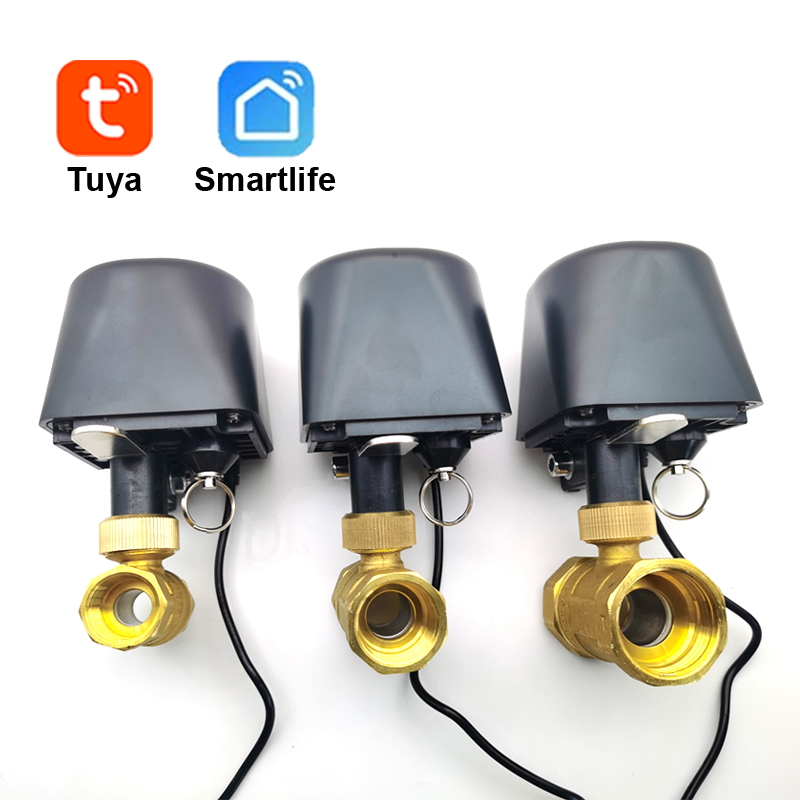 Tuya WiFi or Zigbee Water Valv - Smart Garden Water avis et prix